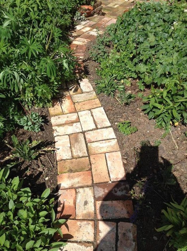 Curved Brick Path Through Herbs