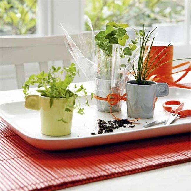 Potting Station Orange Accents