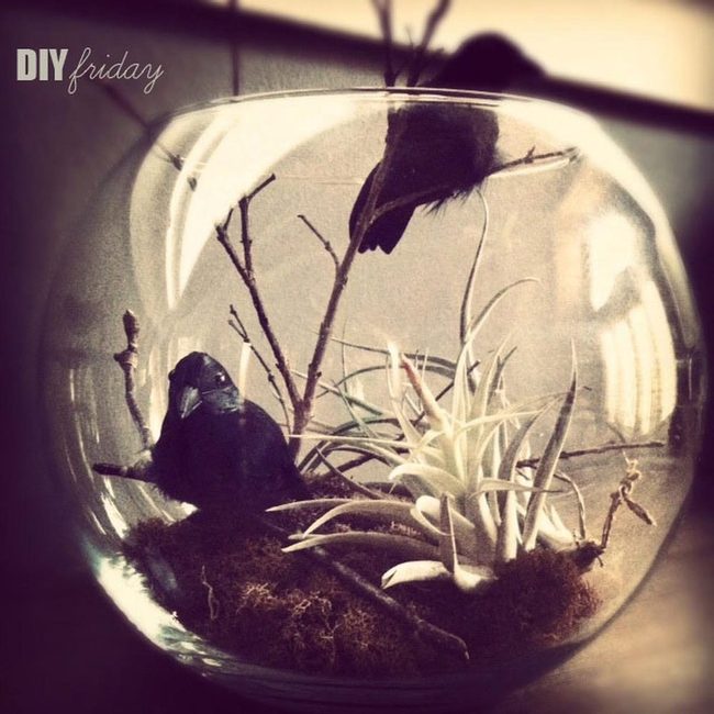Miniature Glass Worlds With Black Birds