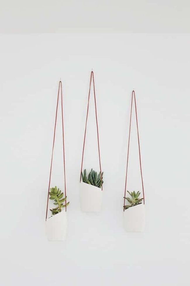 Plastic Bottles Suspended Green