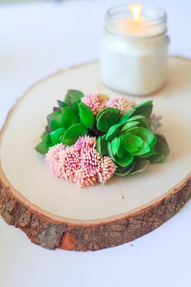 Evergreen Ceramic Succulent Centerpieces