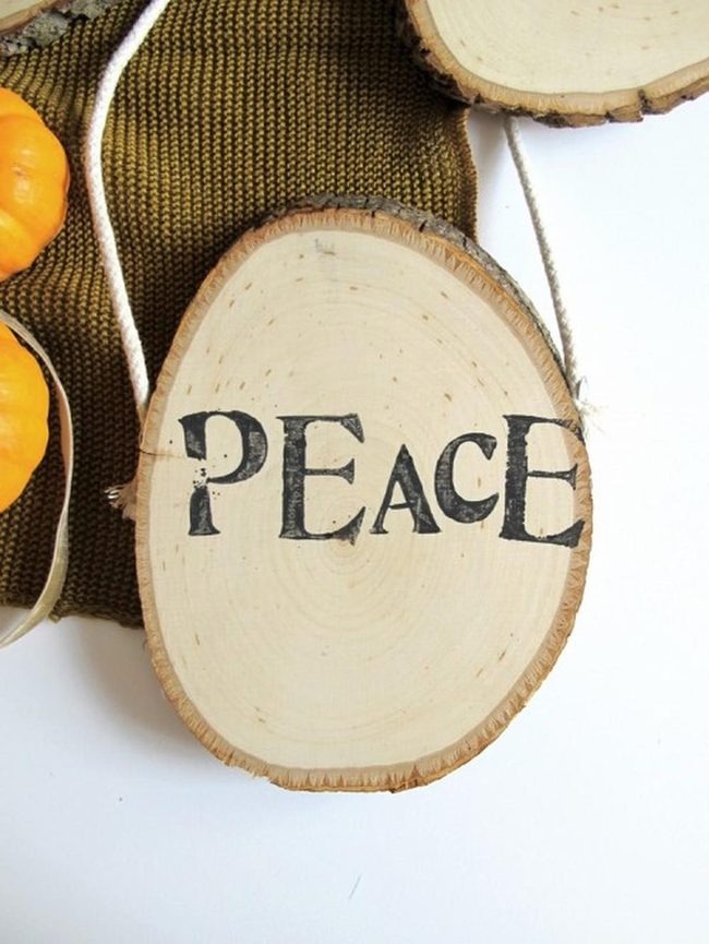 Wooden Slices With Autumn Pumpkins