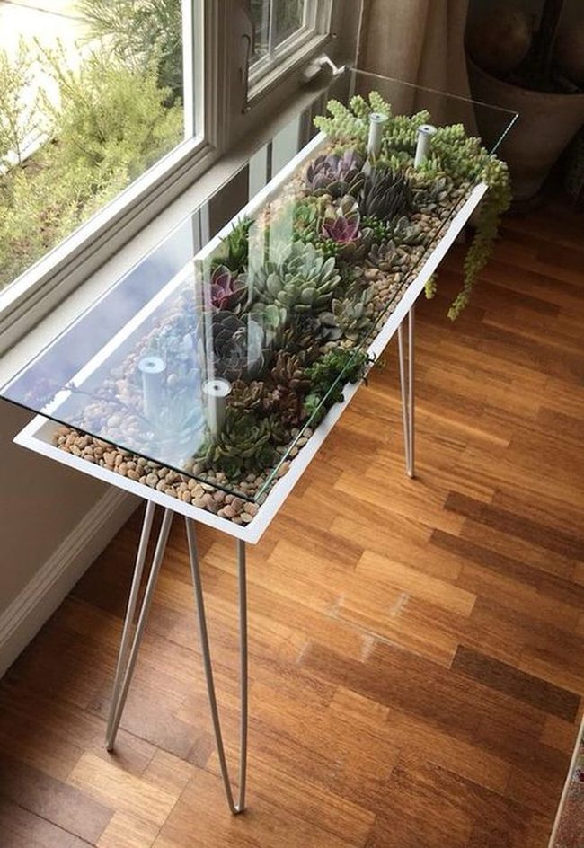 Glass-Topped Plant Furniture