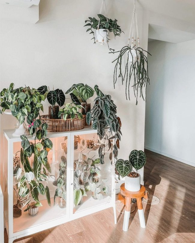 Porous Clay Balls, Healthier Plants
