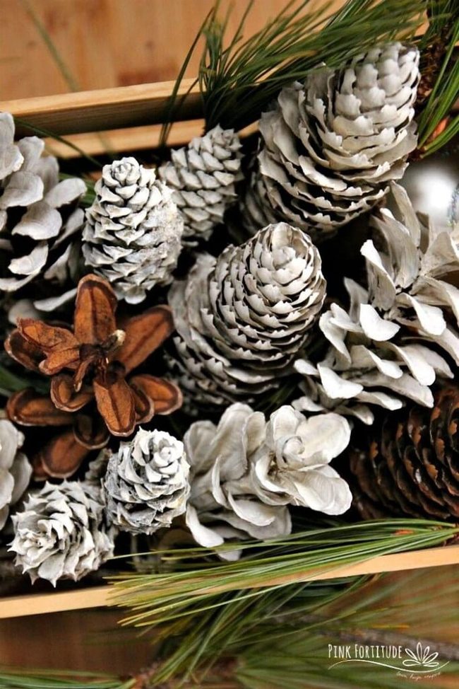 White-Dusted Pinecones In Wood Crate