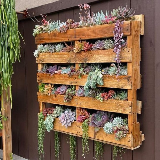 Weathered Wood Succulent Wall