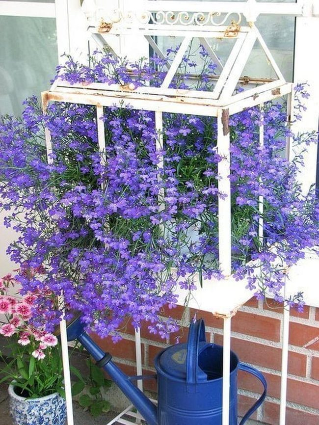 Cascading Blooms In Birdcage Metal