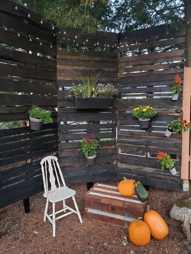 Reclaimed Wood Plant Wall