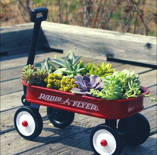Wooden Wagon Succulent Garden