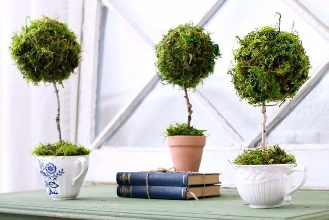 Stacked Teacups Moss Topiary