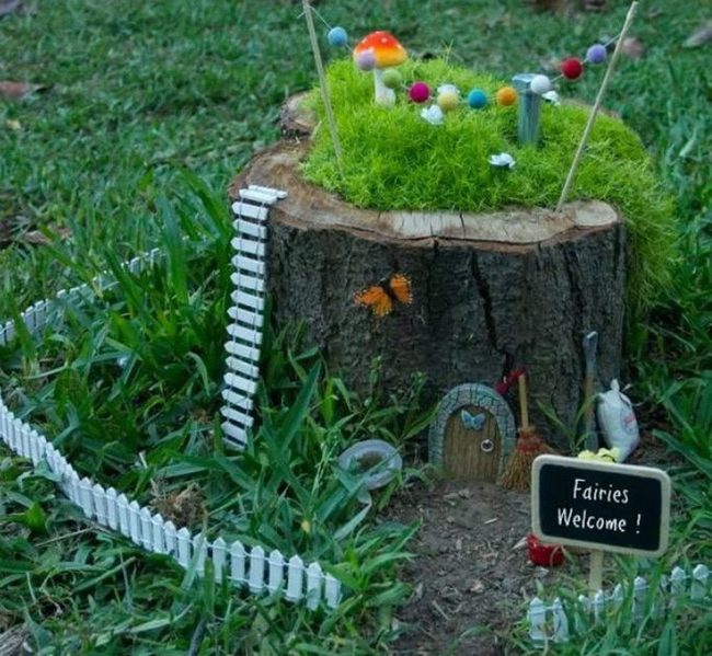 Miniature Woodland Stump Gardens