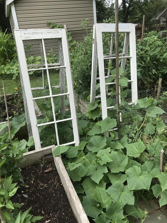 Weathered Window Garden Trellis