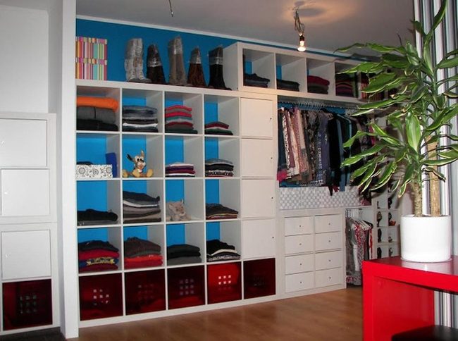 Blue Walls, Boot Display, Green Plants
