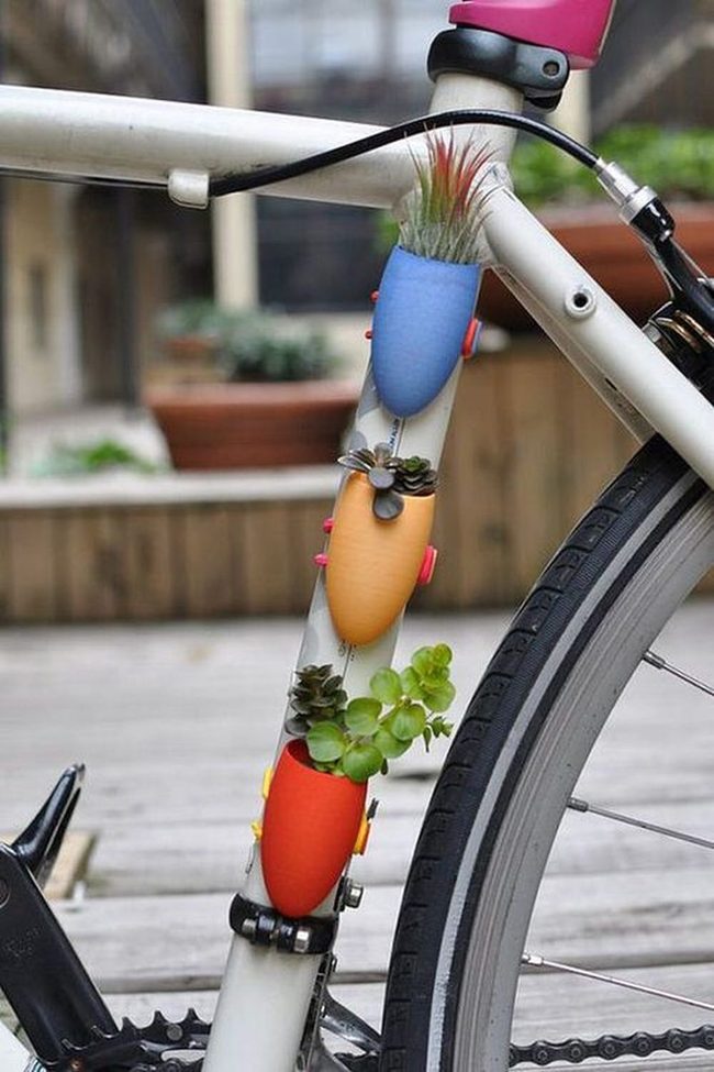 Bicycle Frame Succulent Garden
