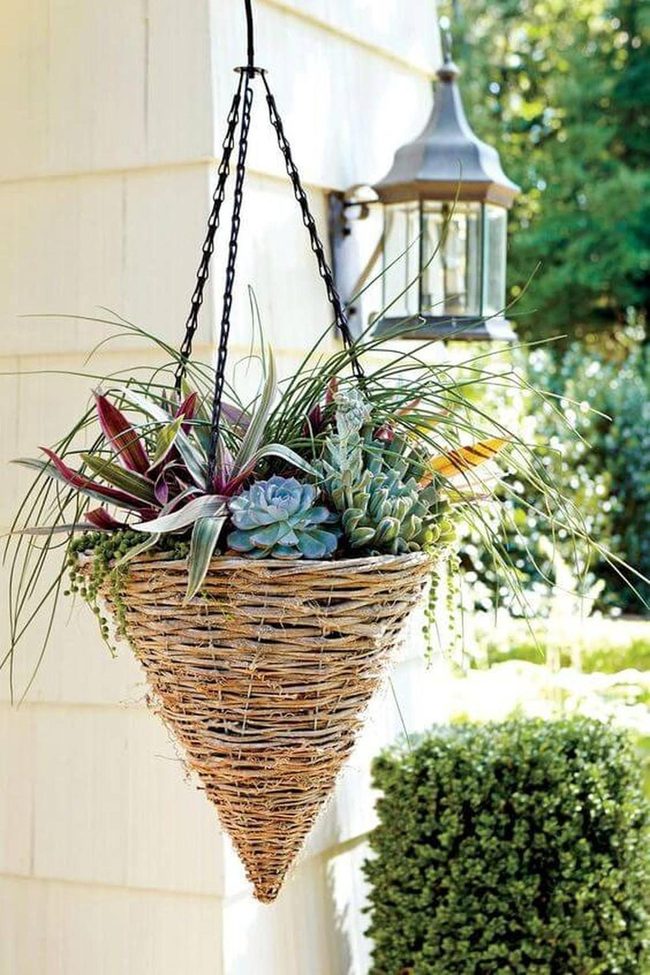 Woven Cone Planter With Purple Succulents