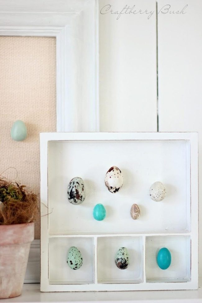 Natural Egg Palette Shadow Box