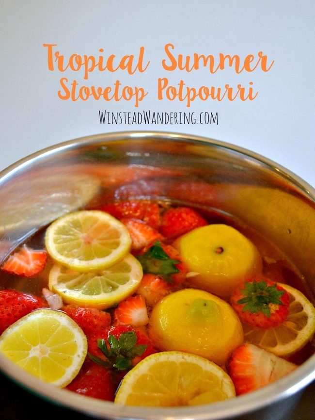 Red Strawberry Lemon Water Infusion
