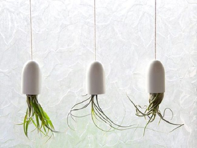 Recycled Lids Into Green
