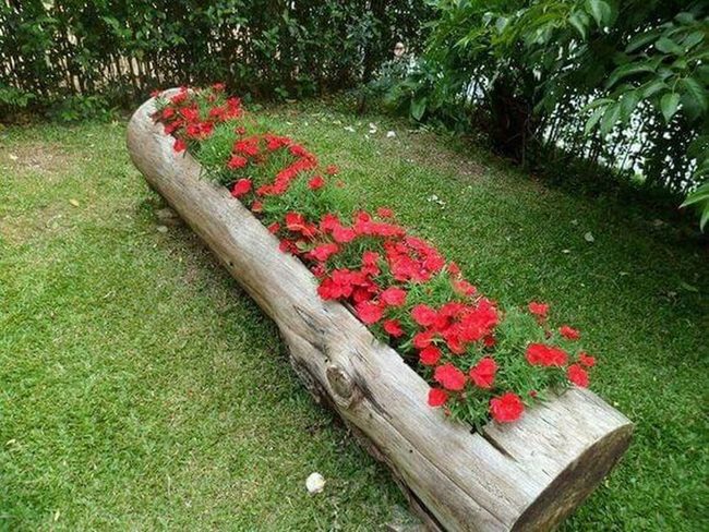 Weathered Wood Stump Planter