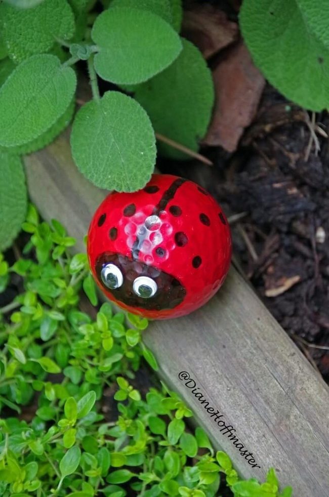 Painted Golf Ball Ladybugs