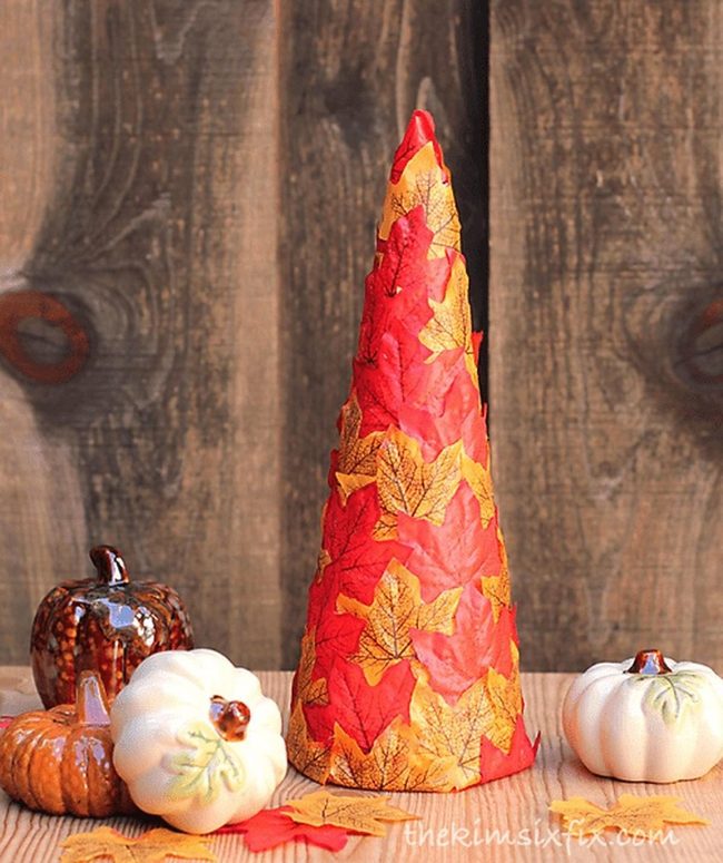 Autumn Cones And Pumpkins