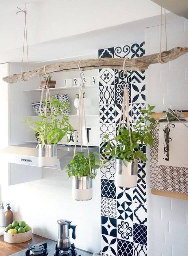 Green Herbs On Wooden Beams