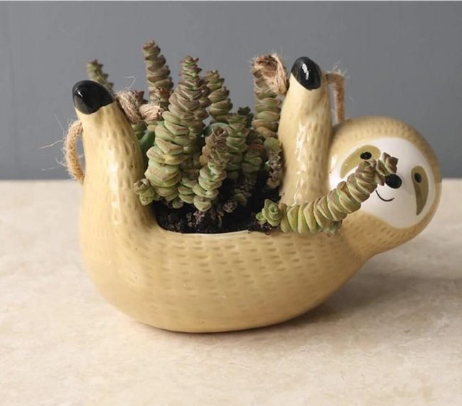 Succulent Sloth Grinning Planter