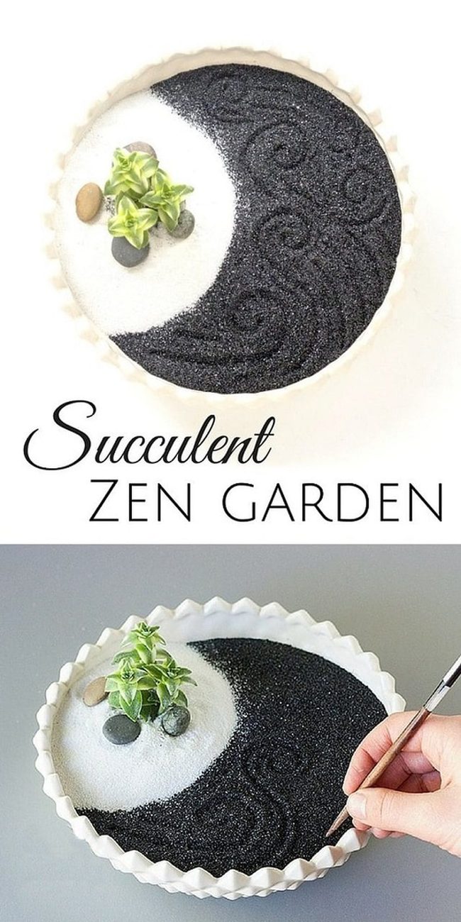 Stone And Succulent Minimalism