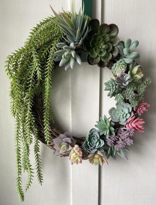 Succulent Circle With Trailing Ferns