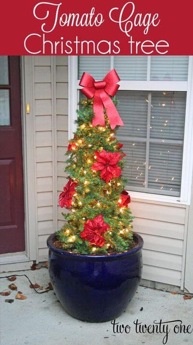 Lit Tomato Cages With Poinsettias