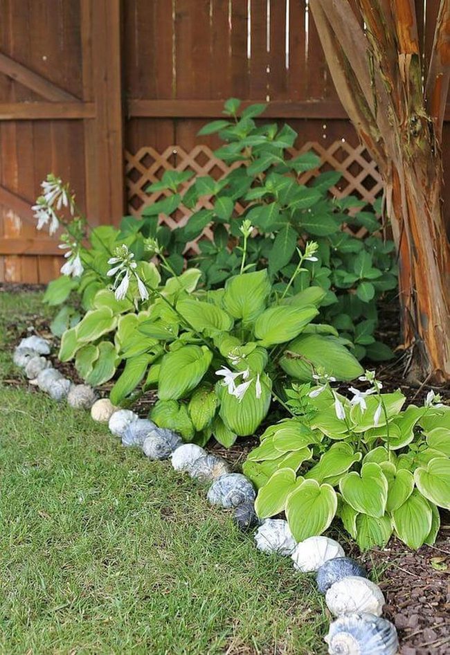 Green Shade Garden Border
