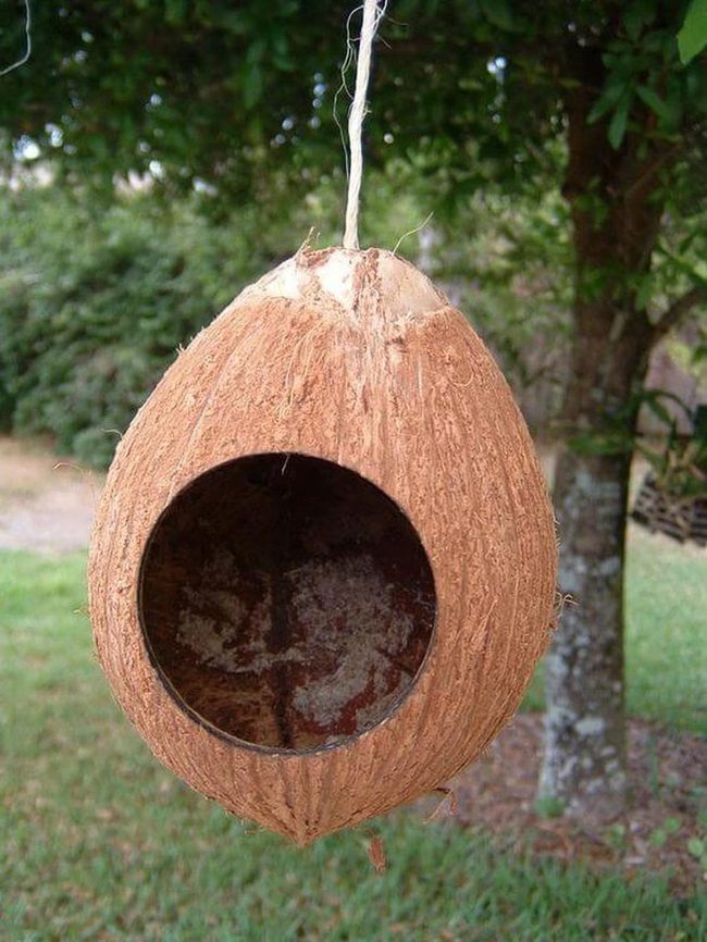 Brown Coconut Shell Birdhouse