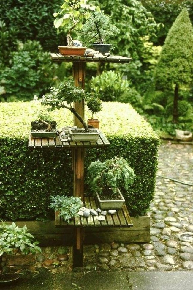 Layered Green Wall Garden
