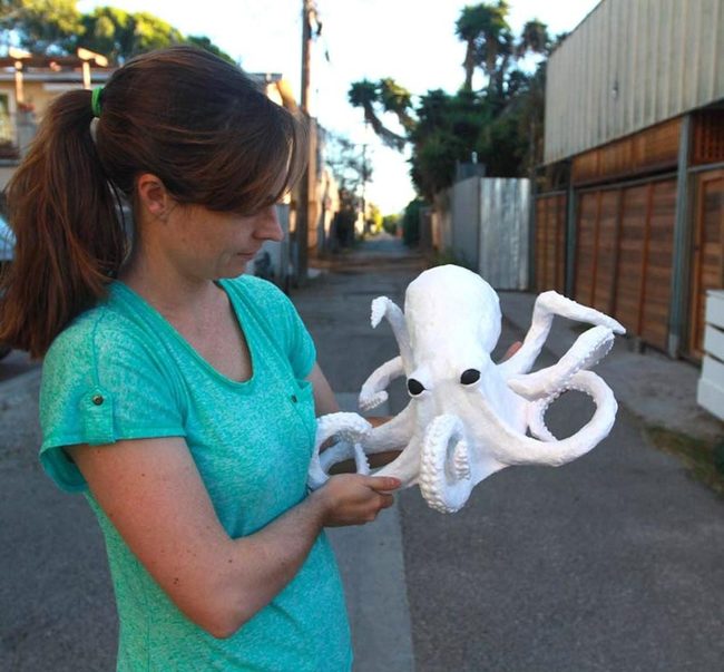 White Octopus, Shadow Details
