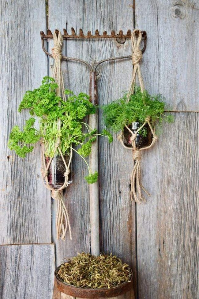 Vintage Rake Herb Garden