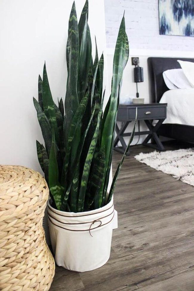 Oxidized Metal Plant Stand