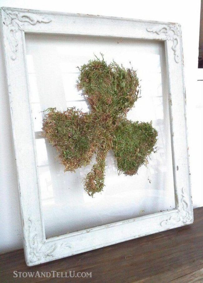Preserved Moss Shamrock Wall Art