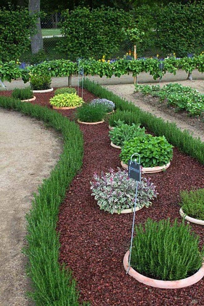 Fresh Herb Border Definition