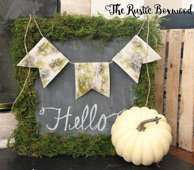 Moss Frame Chalkboard Statement