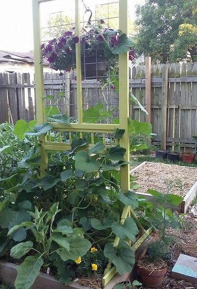 Yellow Frames With Cascading Green