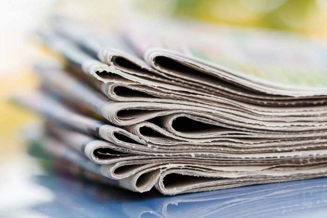 Newspaper Paper Flowers