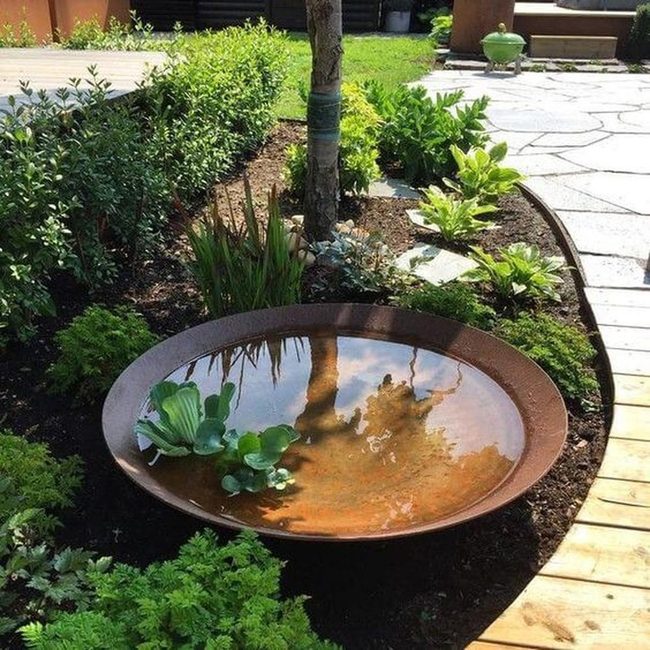 Garden Basin With Verdant Edges