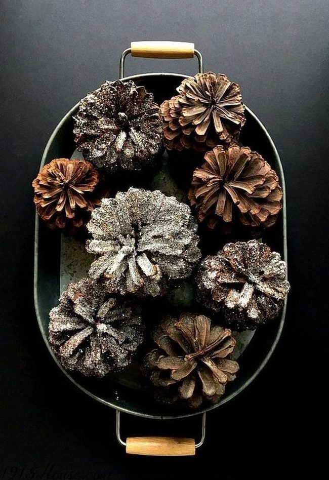 Frosted Pine Cone Trays