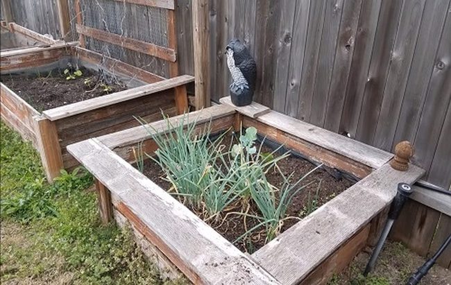 Reclaimed Fence Board Planters