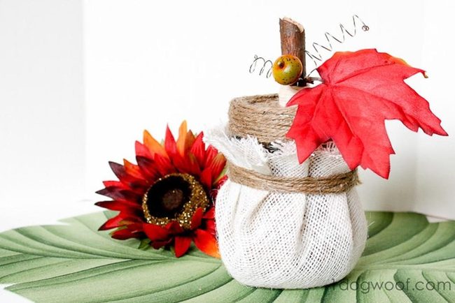 White-Wrapped Pumpkin Autumn