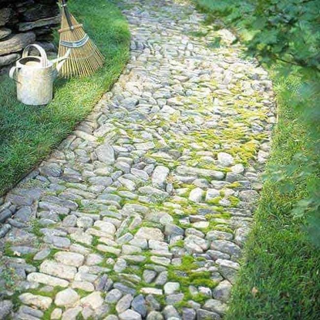 River Stone Garden Path
