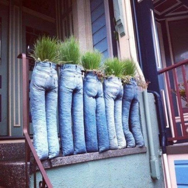 Denim Legs Plant Display