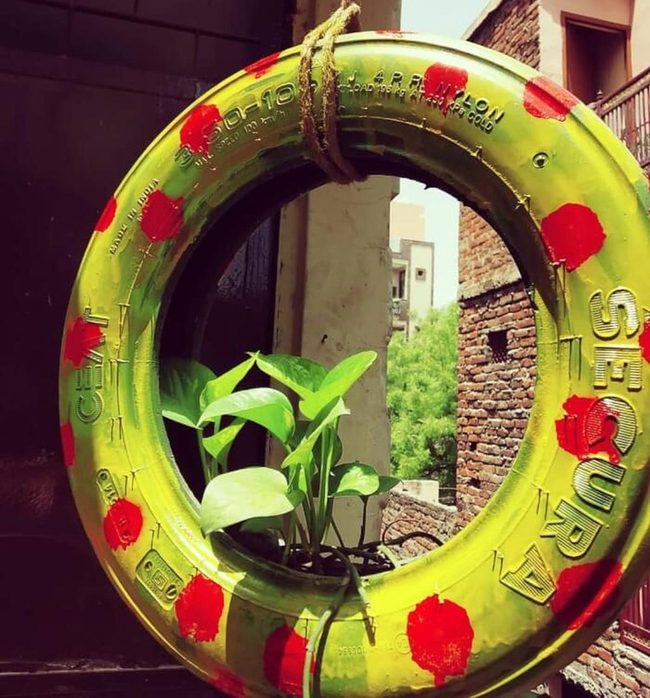 Ladybug Planter, Cascading Greenery
