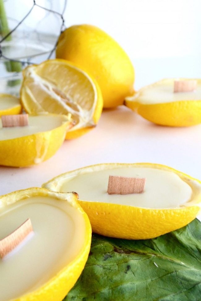 Sunny Citrus Wax Vessels