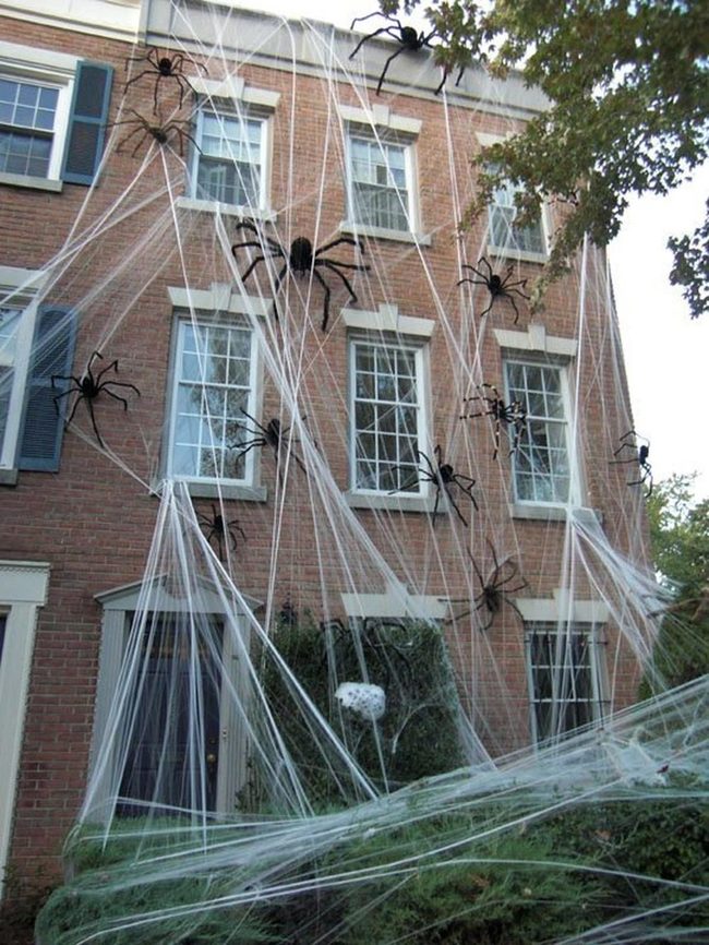 Giant Spider Yard Terror